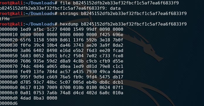 Corrupted file initial analysis