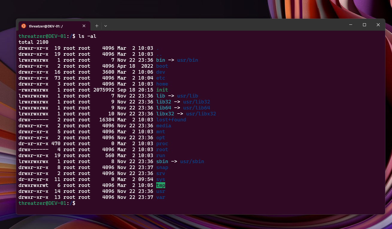 WSL Terminal Interface