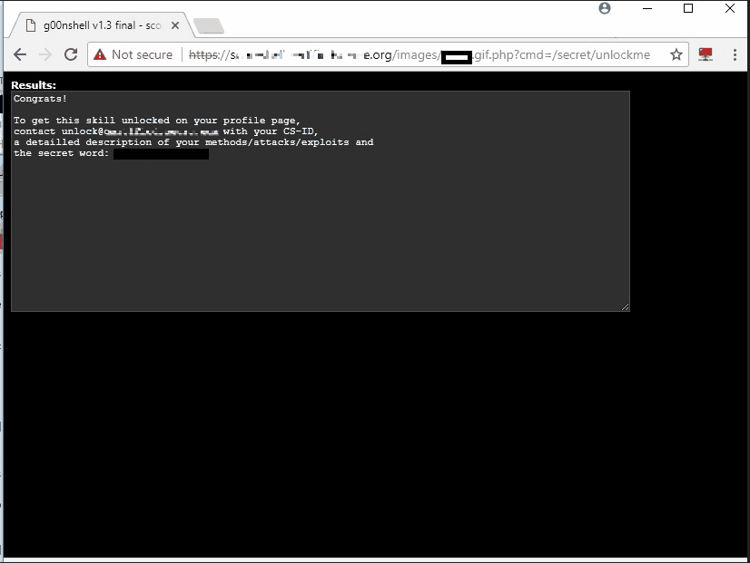 Shell access and flag capture